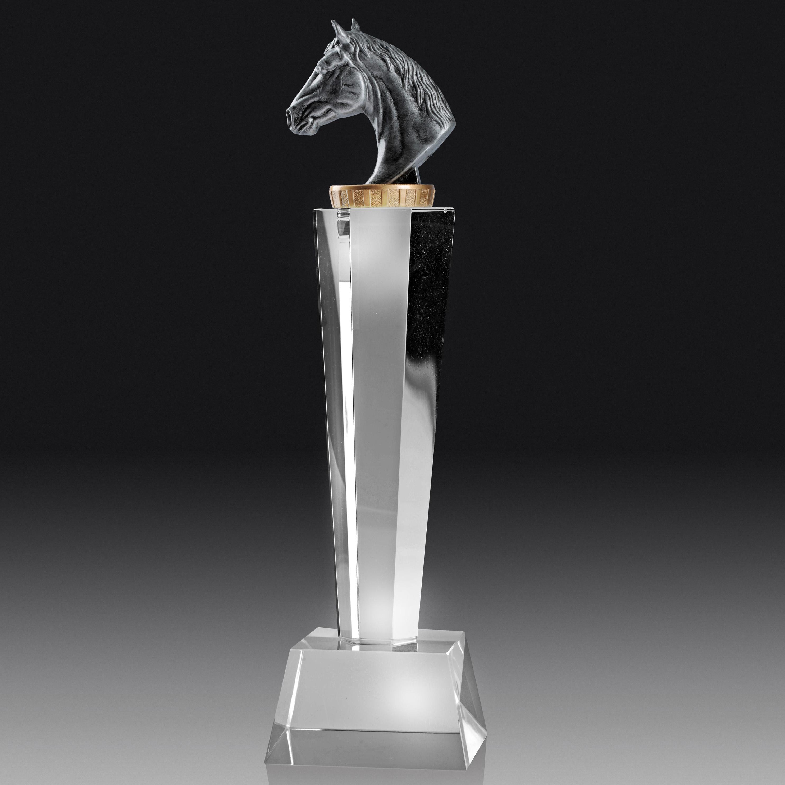 Crystal Award Trophy with Horse Head 240mm